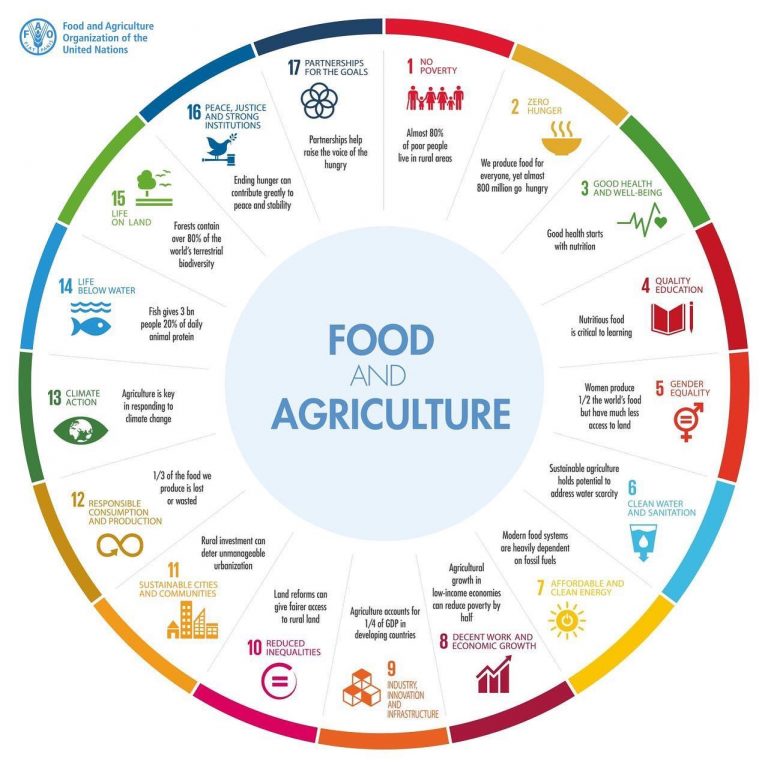 SDG
